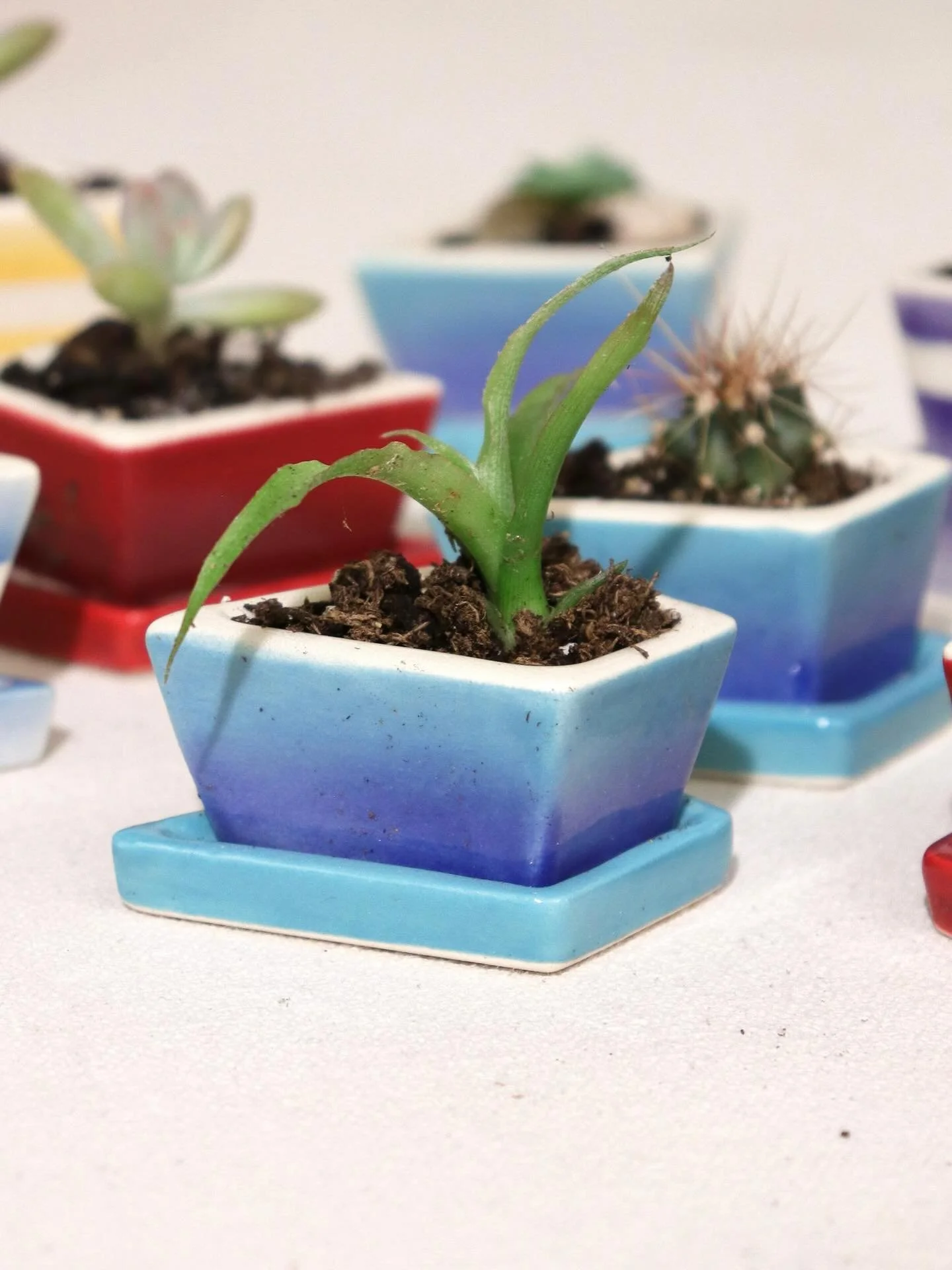 I&rsquo;ve got 13 of this mini succulent planters for sale at the @ramblin.round pop up today at @detroit_shipping. I make these out of my slip casting scraps to recycle something that I would normally throw away. I think they&rsquo;re beautiful litt
