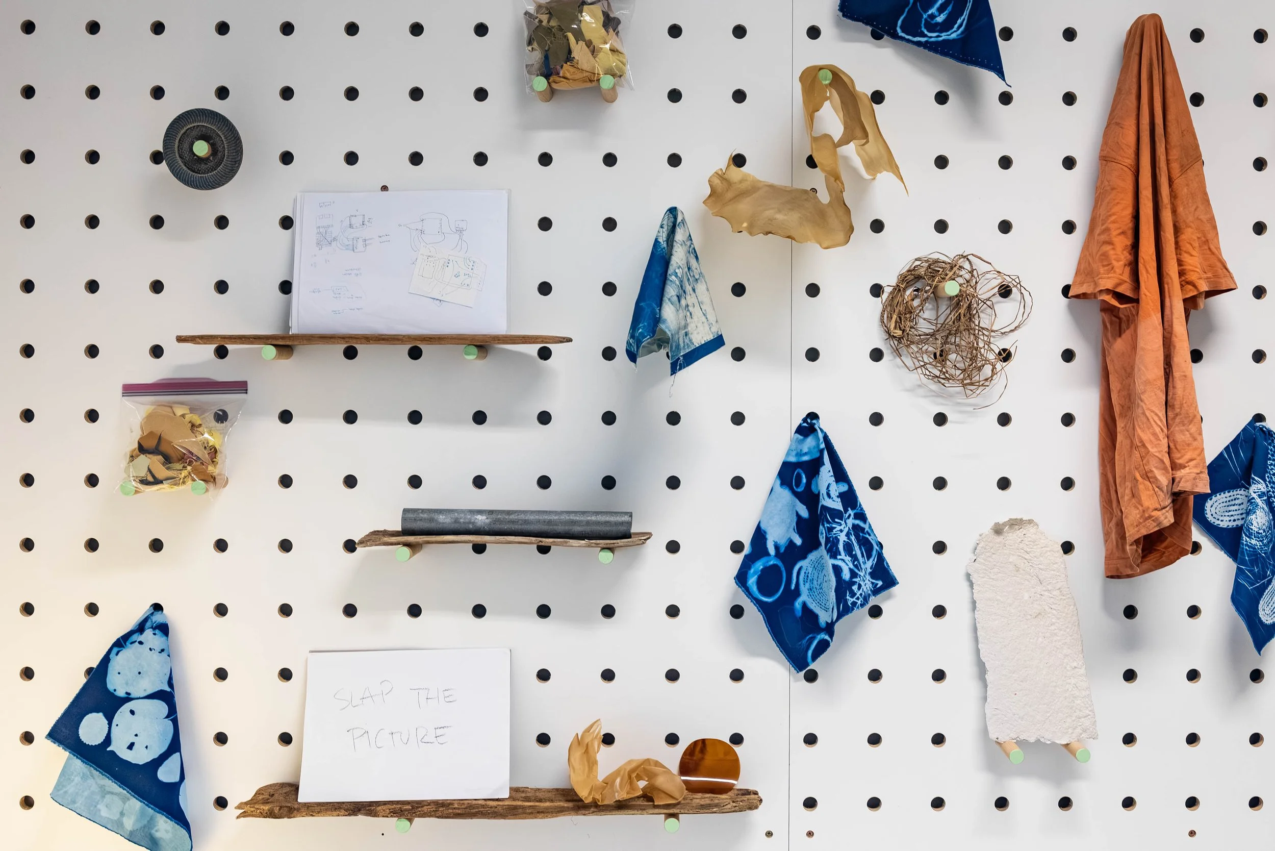 All That is Alive co-commissioned by UTS Gallery & Art Collection and La Trobe Art Institute. Artists: Tully Arnot, Saskia van Pagee Anderson, Kylie Banyard, Elisa Jane Carmichael, Sonja Carmichael, Madeleine Collie, Other Matter, Sarah Pou
