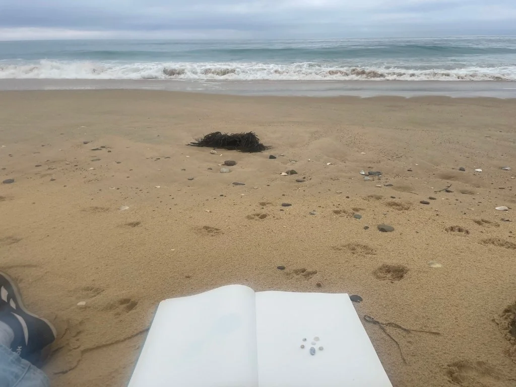   Edge of Sea  Studies from Wallaga Lake to Bermagui. Yuin Country 