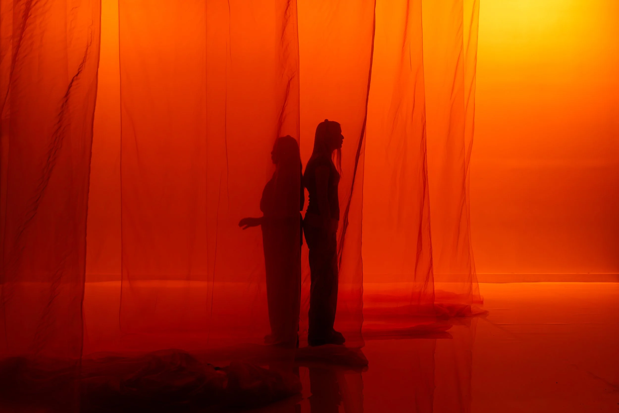   My First and Last Solo Show  by Natalie Rose, co-commissioned by Campbelltown Arts Centre and produced by Performing Lines.  Supported by Creative Australia,  Create NSW, Shopfront Arts Co-op and UNSW’s Esme Timbery Creative Practice Lab. 