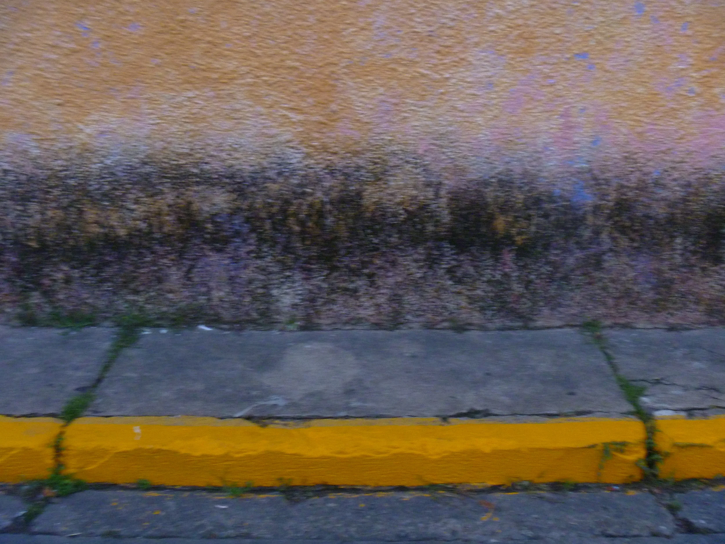 P1010719.JPG