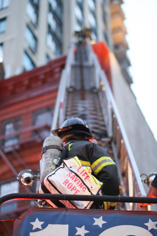 HONY4.jpg