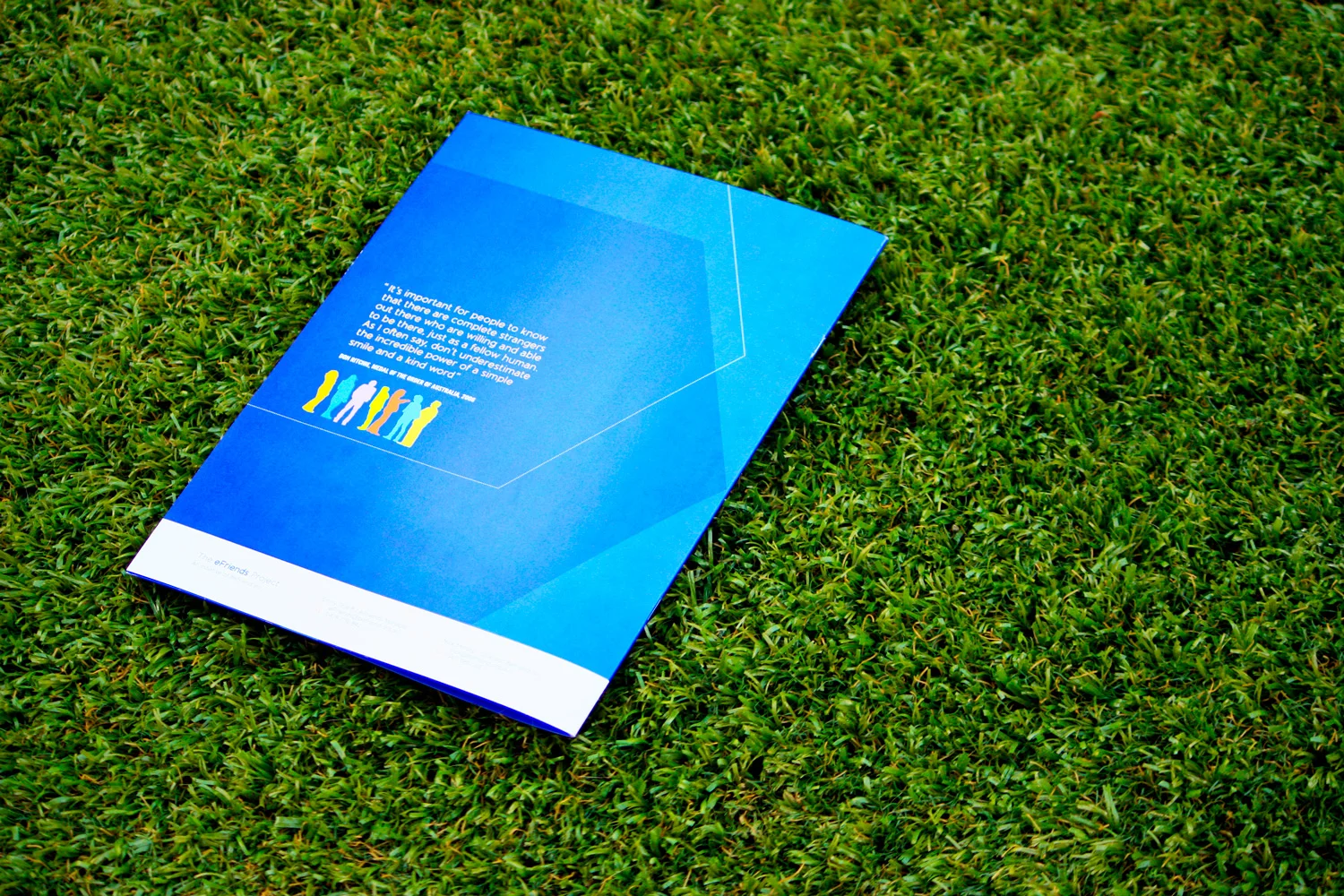 Totem-Creative-Design-&-Branding_Efriend-Business-Plan2.jpg