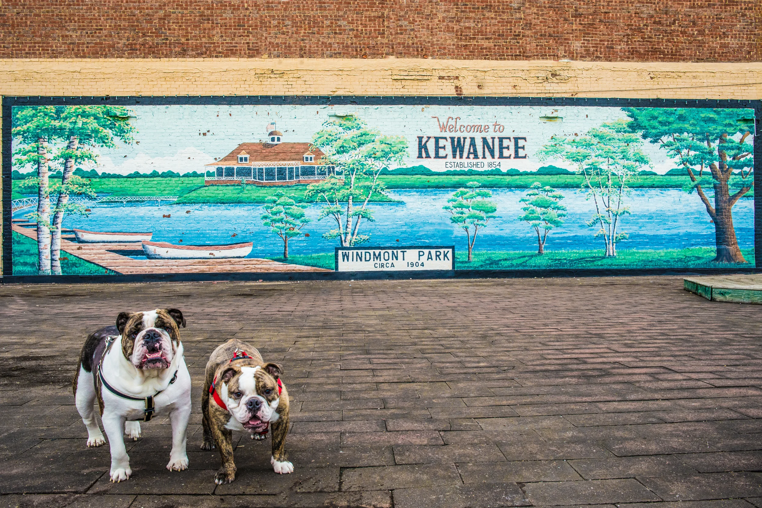 vinnie&banksey-1.jpg