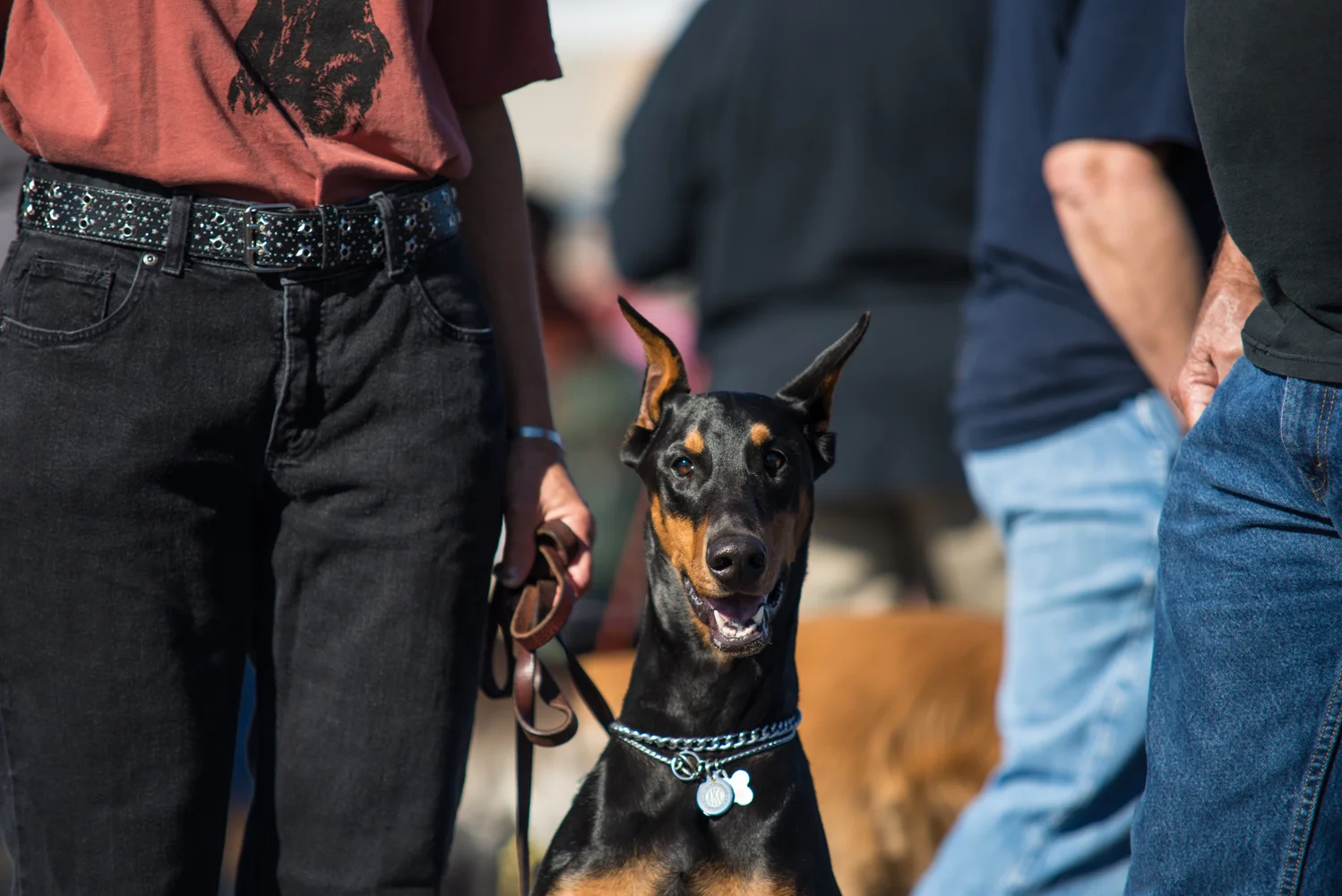 mutt strut2-1-5.jpg