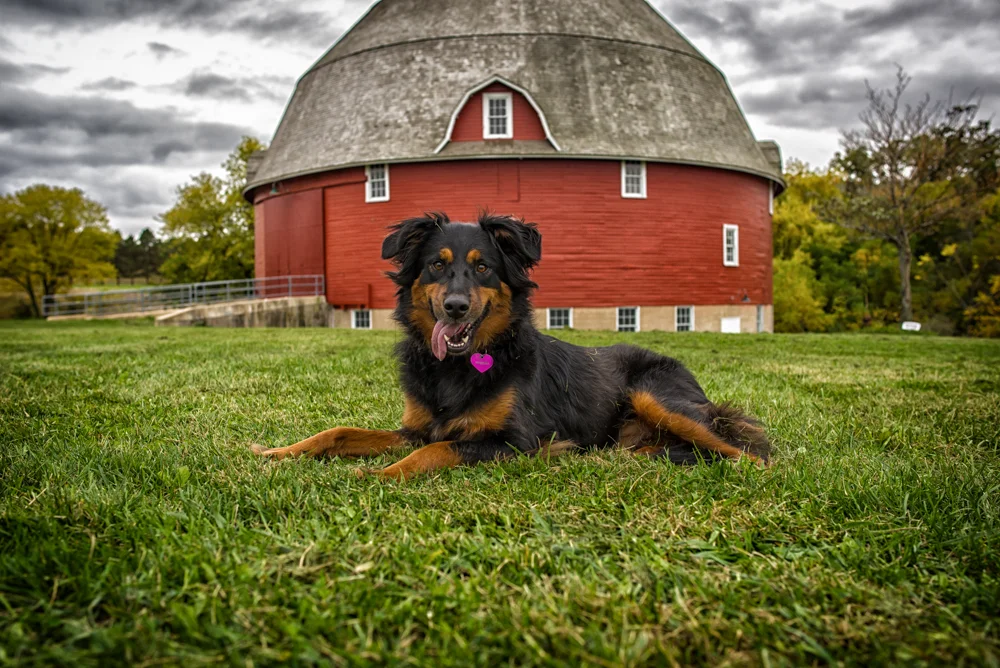 Keely at the round barn at Saulk Trail.