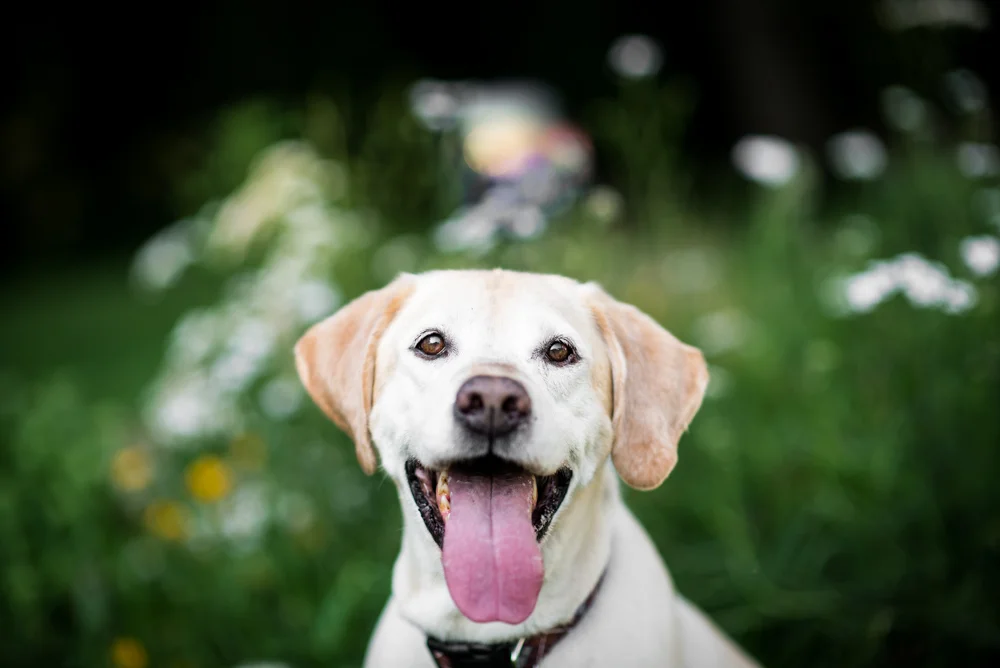max-1.jpg