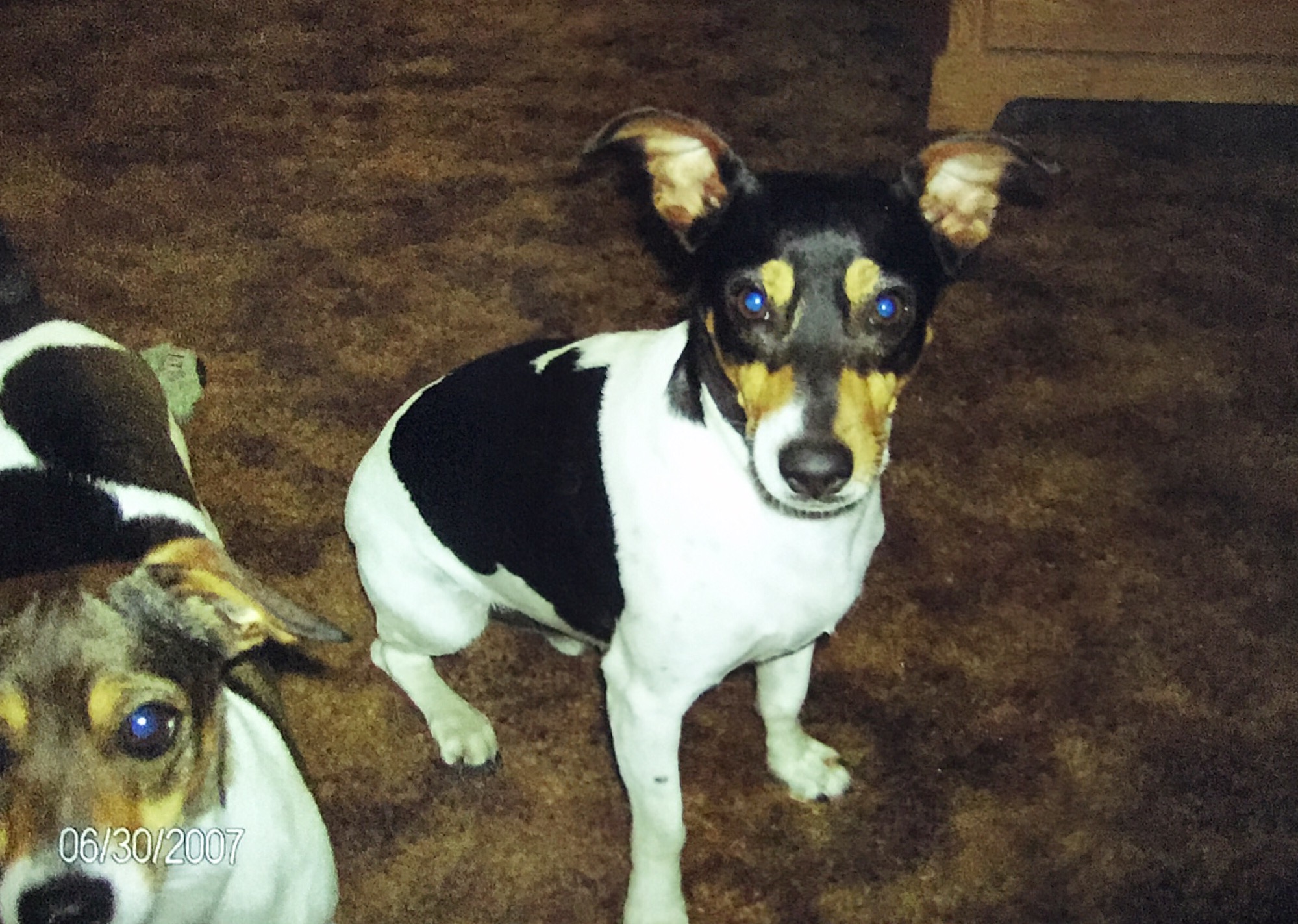 Pete when he was just 4 years old.