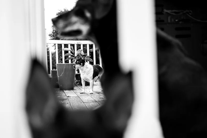 XT1