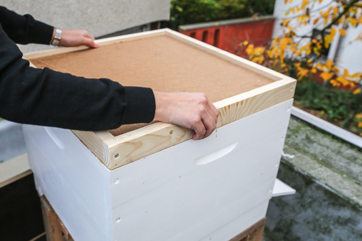 Golden Girls Honey, Honig aus Ottensen von Fotomaki. ©Susanne Baade, www.susies-local-food.com