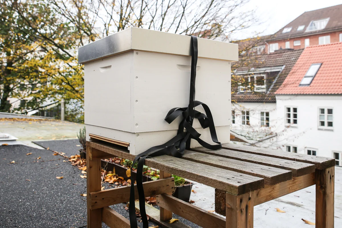 Golden Girls Honey, Honig aus Ottensen von Fotomaki. ©Susanne Baade, www.susies-local-food.com