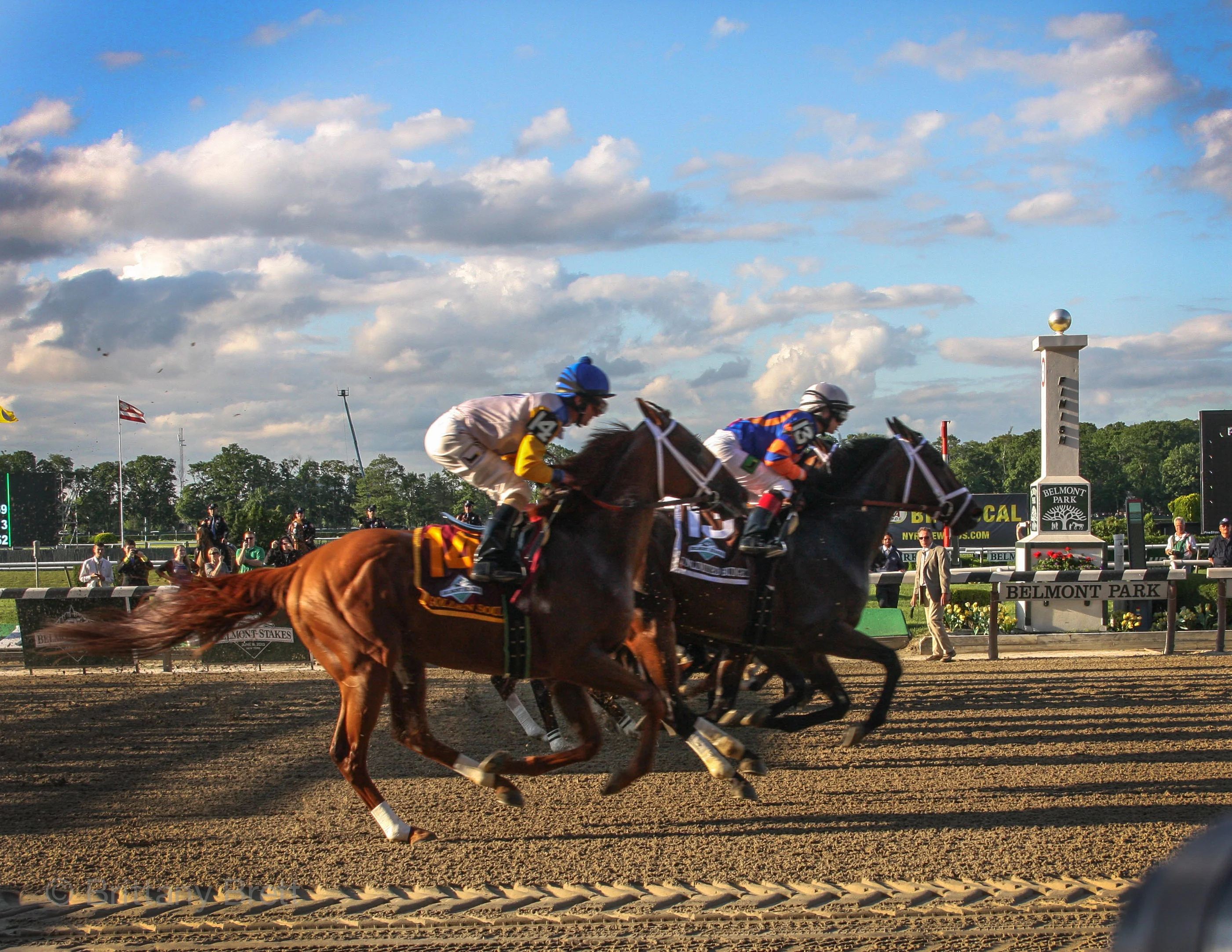 The Belmont Stakes 2013