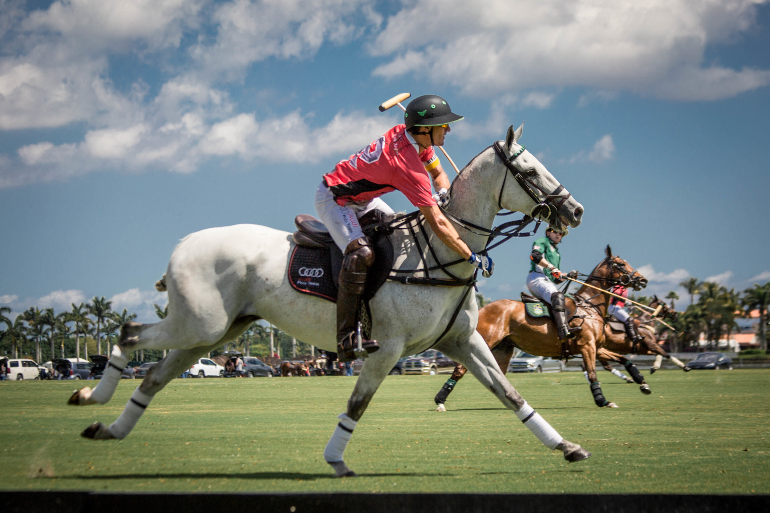 PoloBook-46.jpg