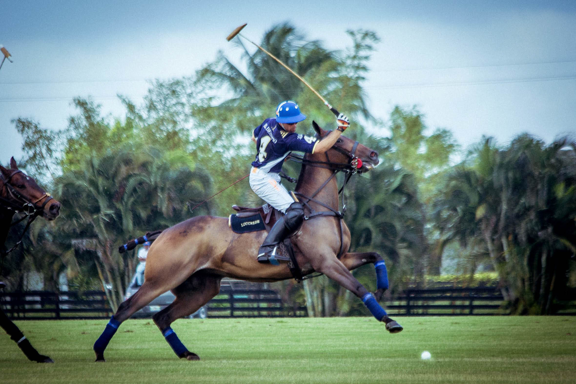 PoloBook-50.jpg