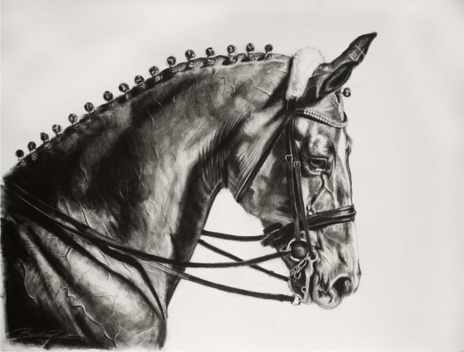 Dressage Horse Charcoal Drawing by Brittany Brett