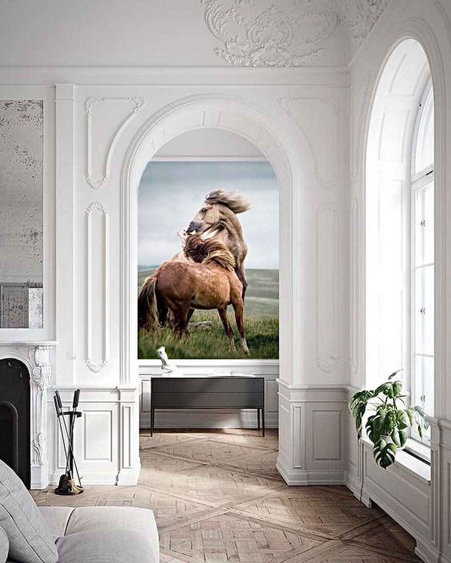 Inspirational Interiors &gt;&gt; Magical footage of my photograph of wild horses in the making. 
I&rsquo;ve been craving a new adventure more than ever, but this time has allowed for a moment to look back into the archives and see what old treasures 