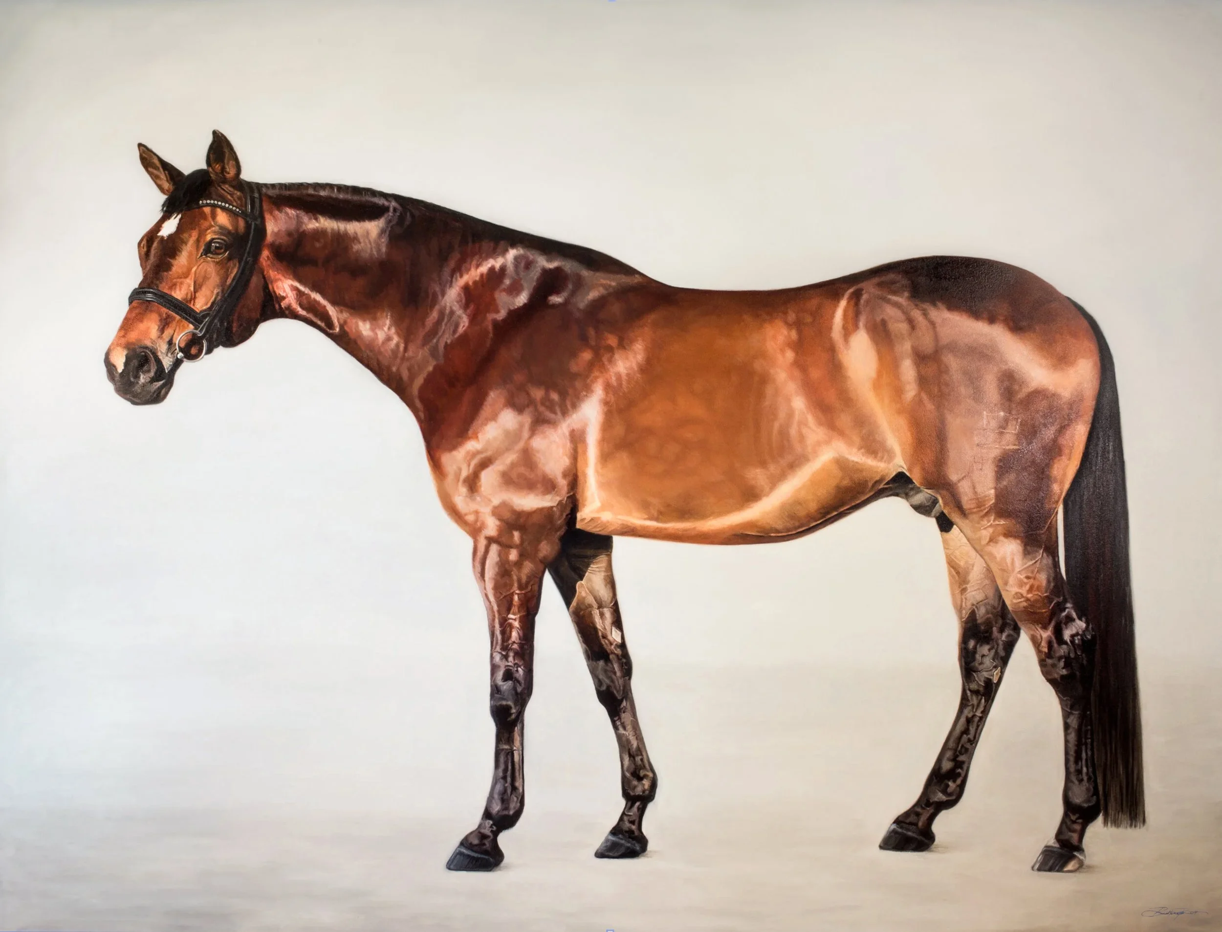 dutch warmblood oil painting by equine artist brittany brett