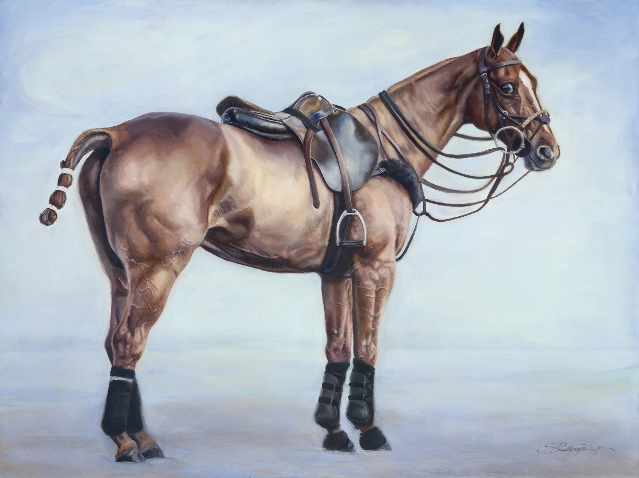 Polo Horse Oil Painting with leather saddle and bridle by equine artist Brittany Brett