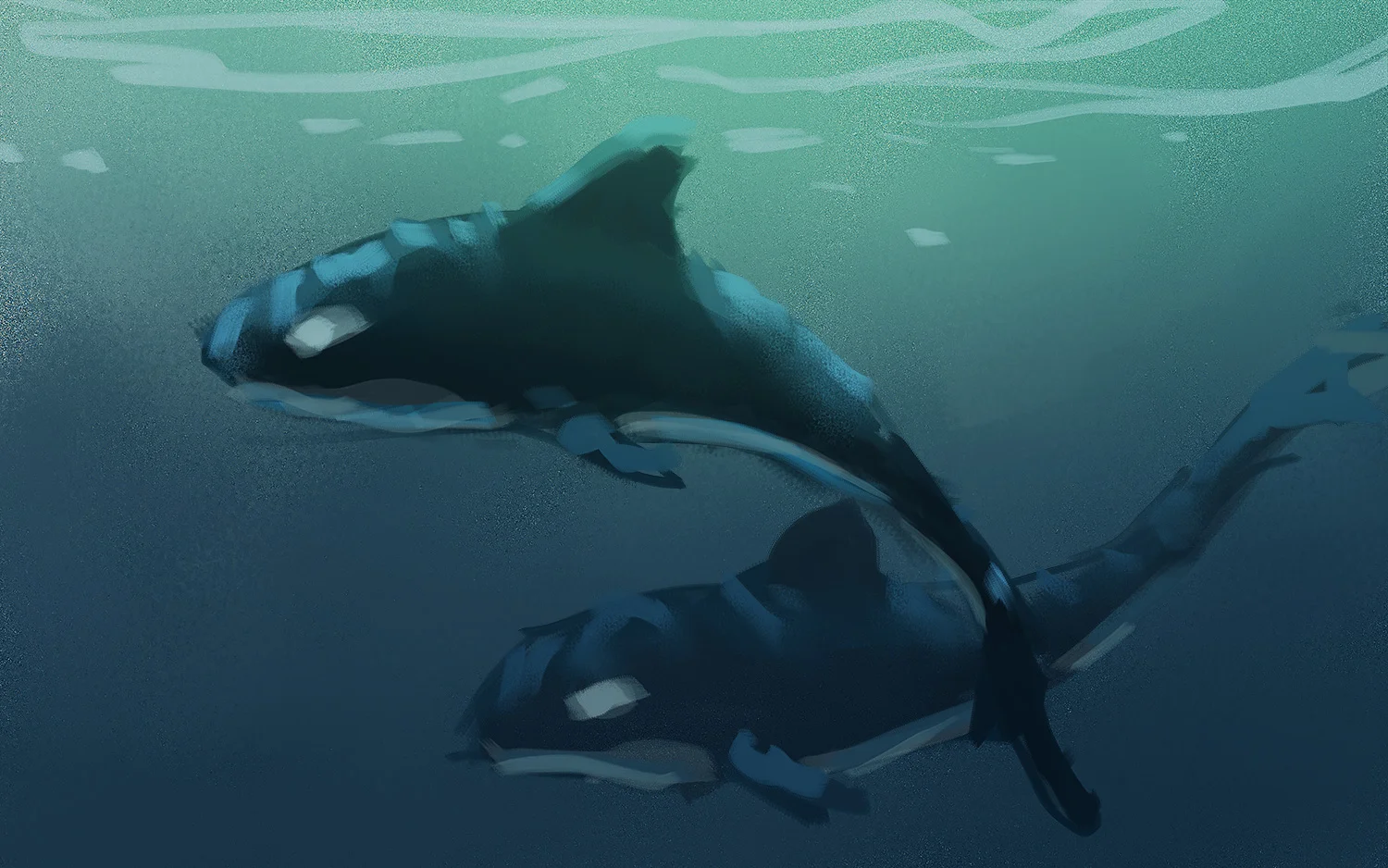 whales.jpg