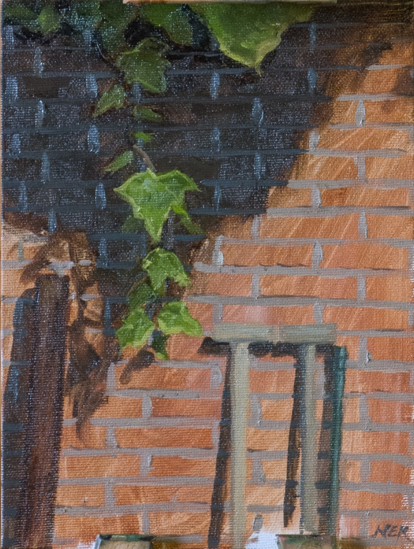 Hanging Ivy