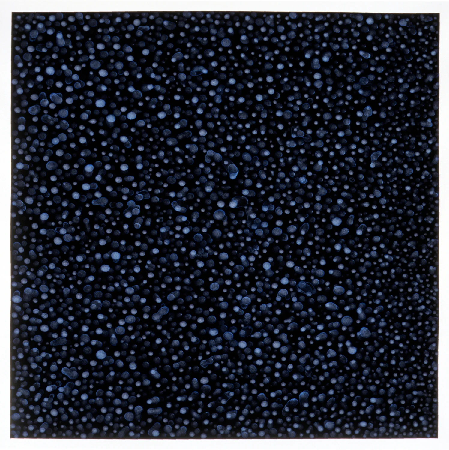  ​untitled 2005 (night sky), ink on paper, 24 x 24" 
