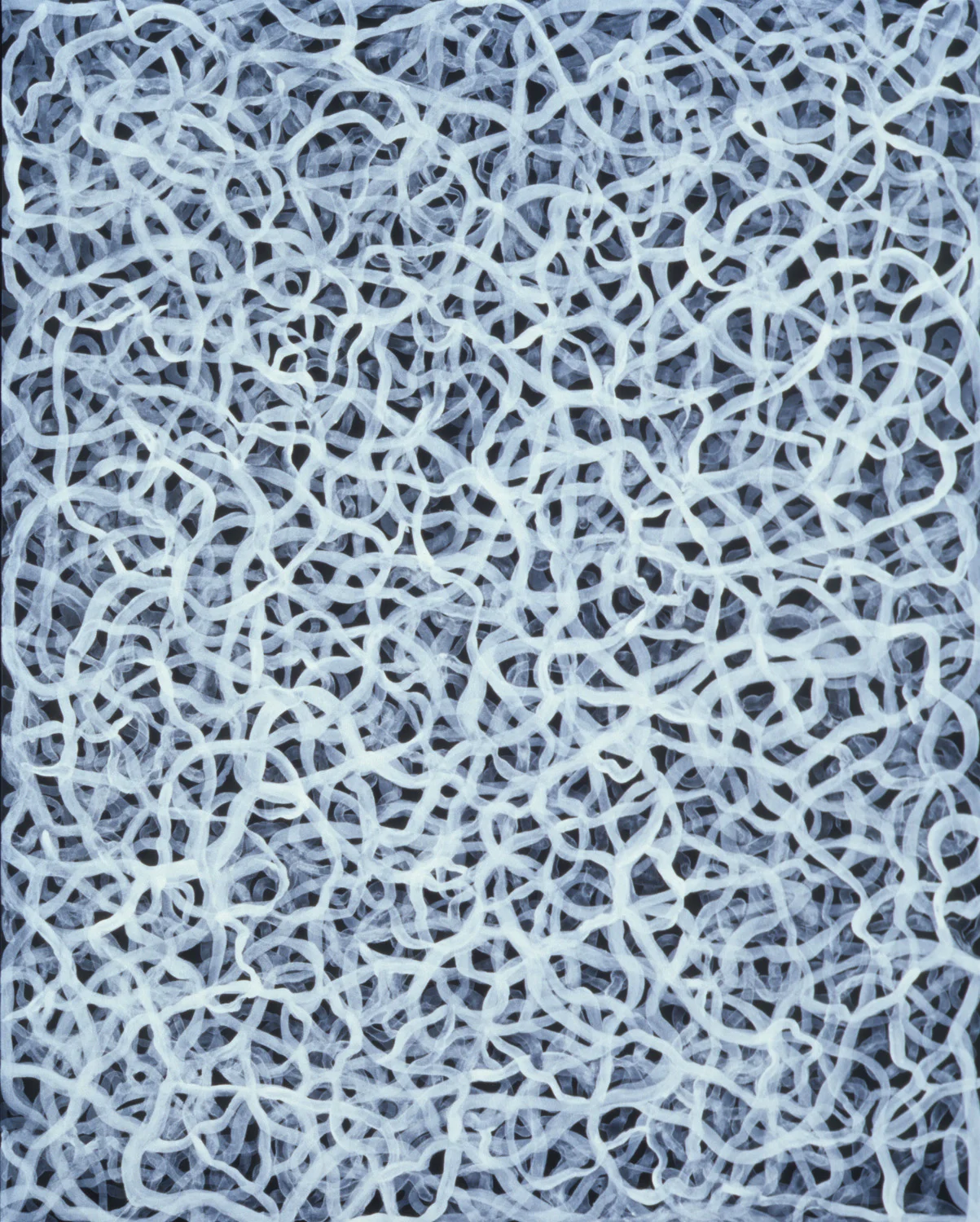  untitled 2004 (nest), acrylic on panel, 20 x 16"  
