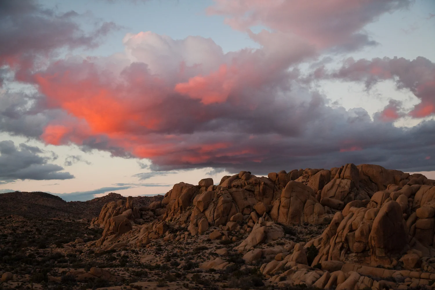 Joshua Tree, California