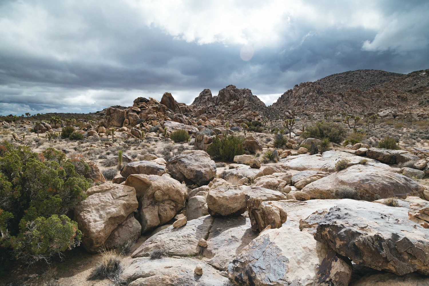 Joshua Tree, California