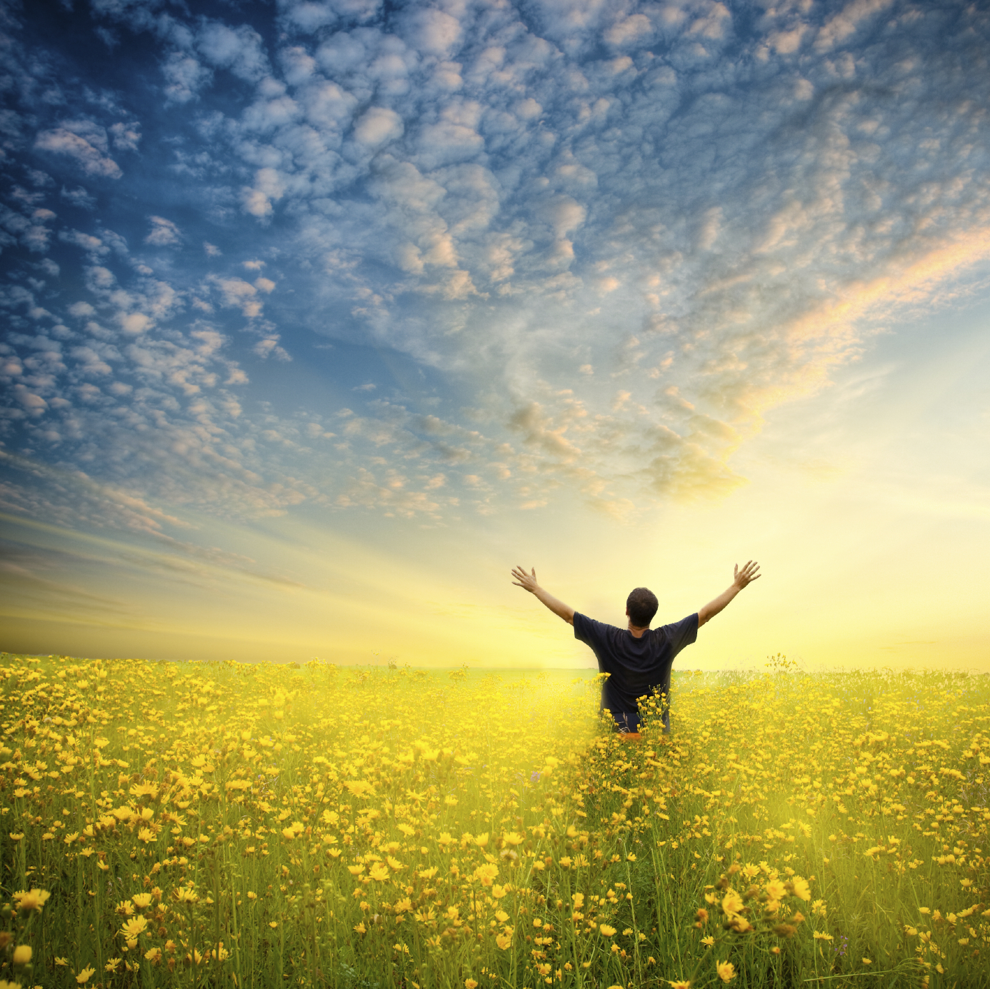iStock_000019844316Medium.jpg