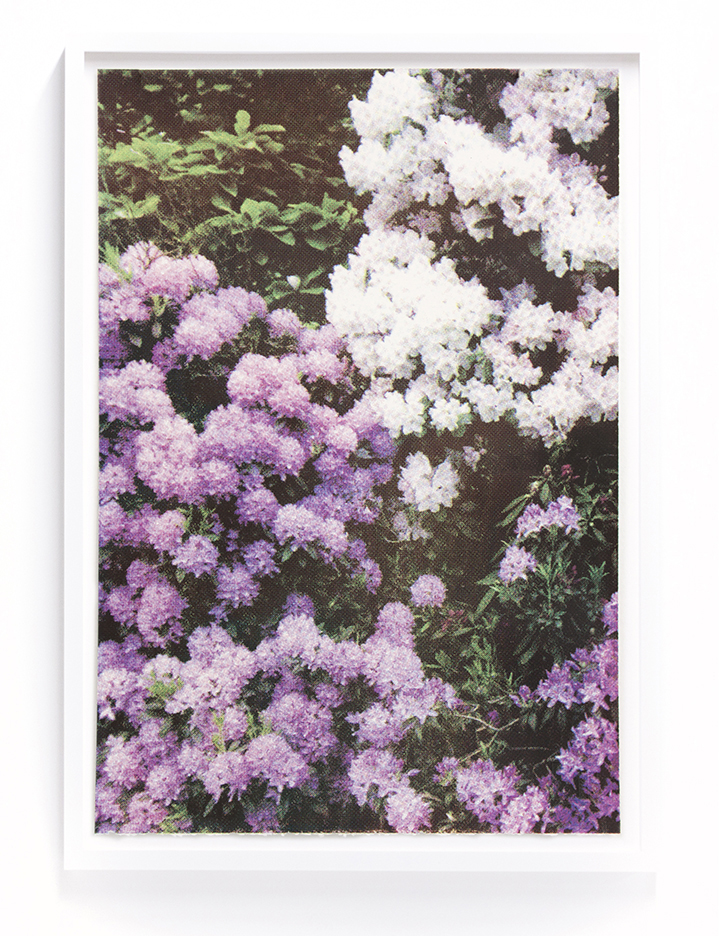 Print Club Ltd. - "Purple and White Flowers" floral botanical limited edition fine art custom framed silkscreen print