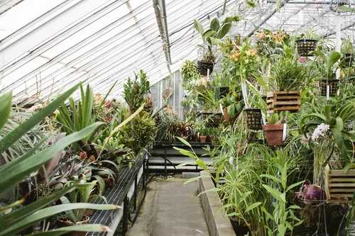 Botanic Gardens At Smith College Ma Print Club Ltd