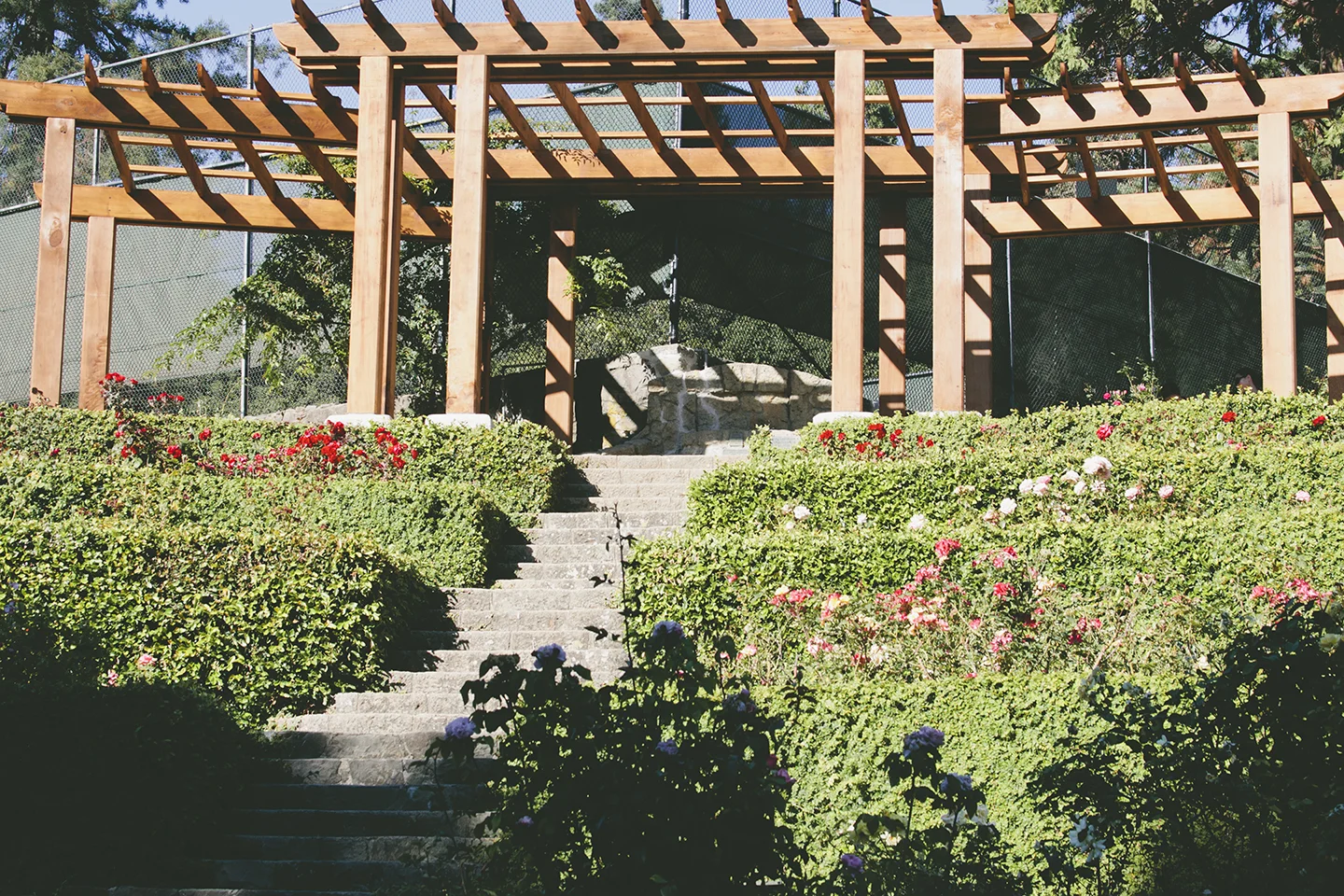 The Berkeley Rose Garden — Print Club Ltd.