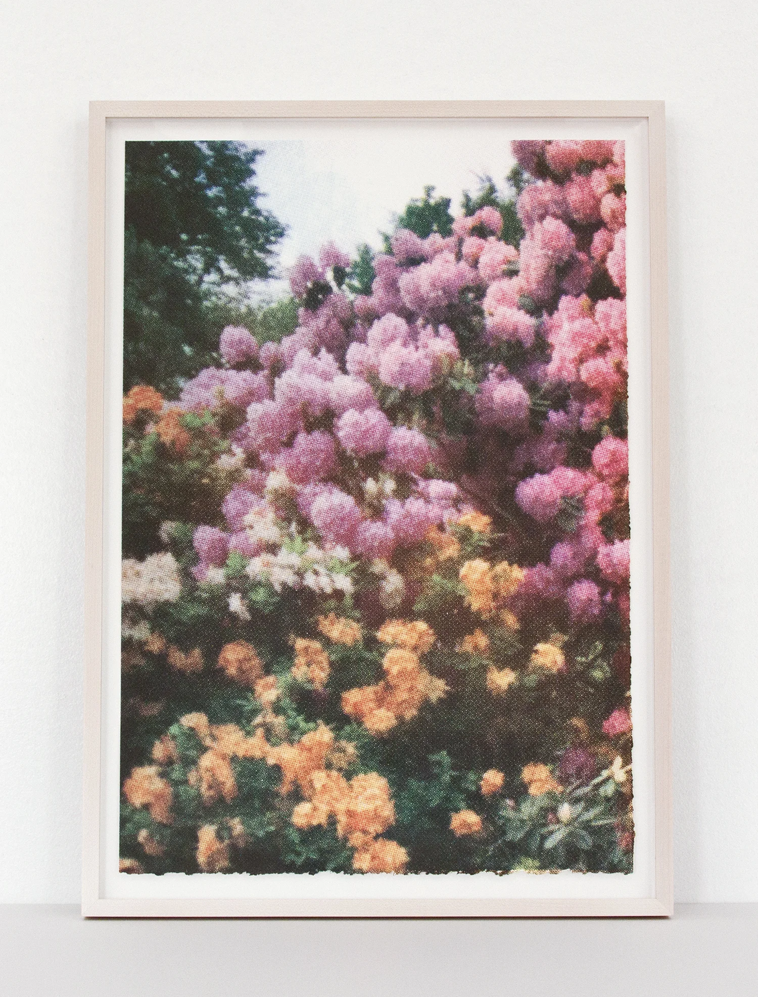 PrintClub_Pink_Orange_Flowers_Whitewash_Frame.jpg