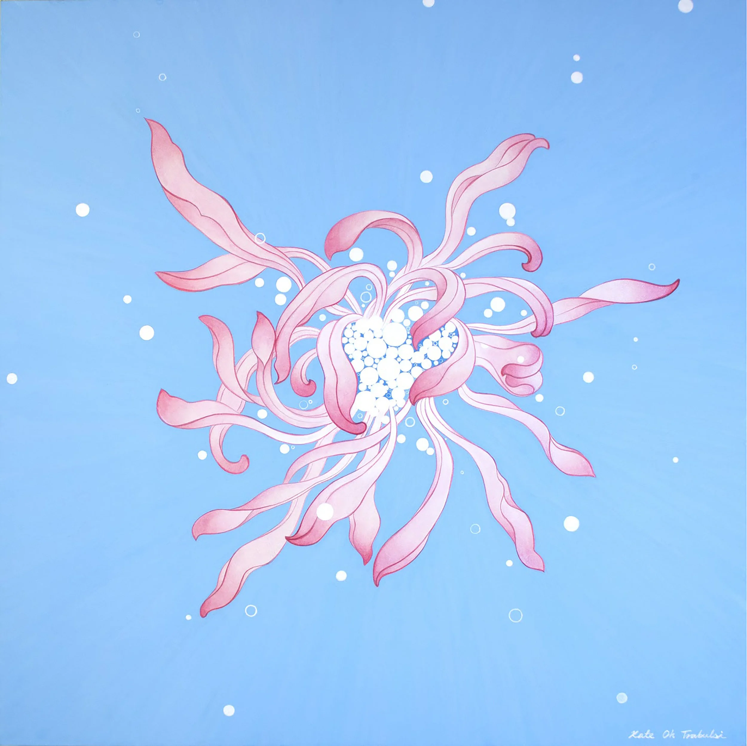 Chrysanthemum Series