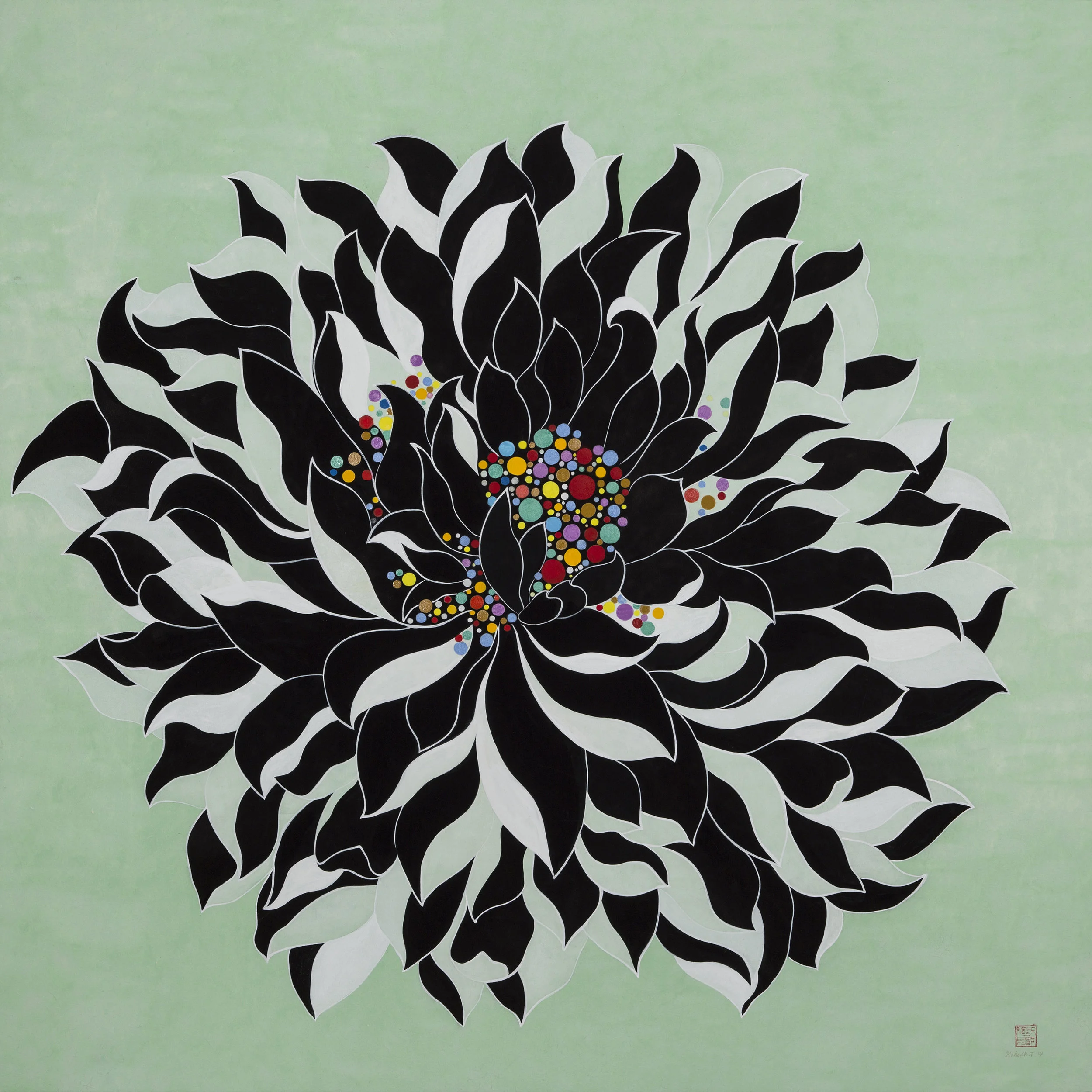 Lotus Series