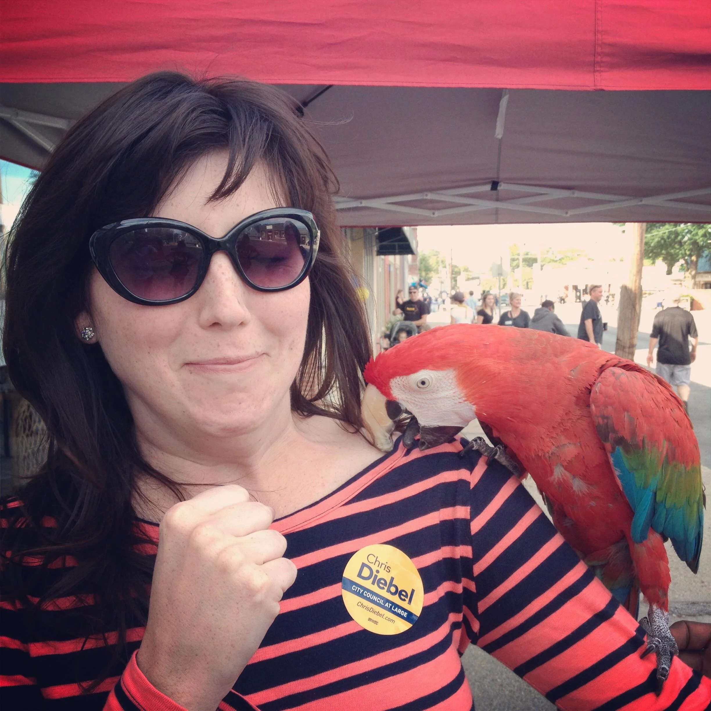 I am not about to punch the parrot. Although I semi-hate birds (pigeons especially), I don't wish them any harm. This is not me preparing to right hook. I'm actually clenching my fist in fear. And triple chinning in fear. And voting for Chris Diebel.