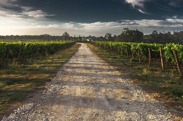 Blazing your own path to success