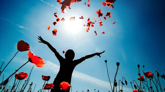 Abundance Theory in the Workplace
