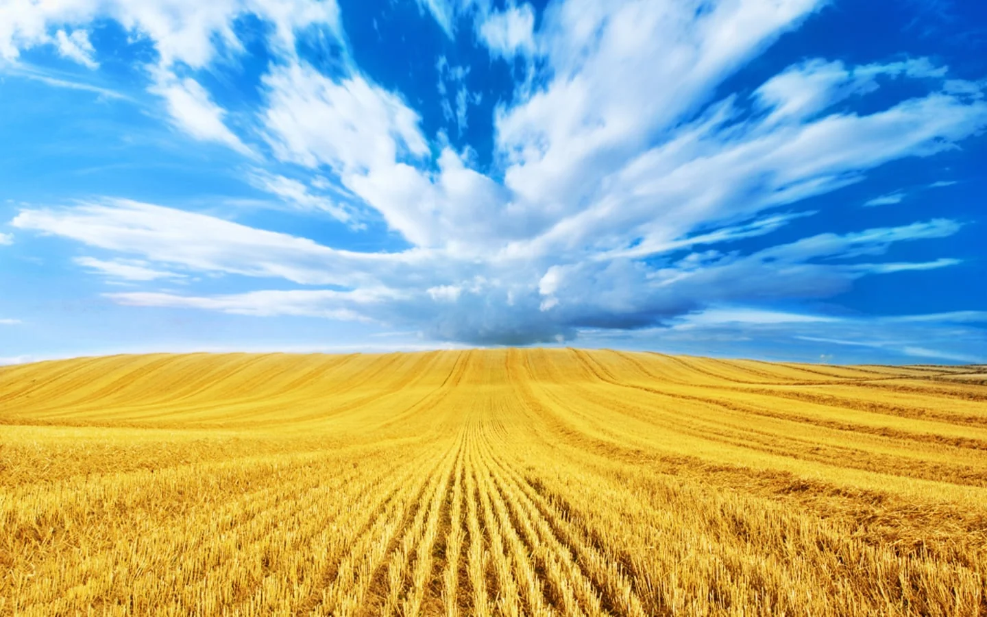 Being an abundant mentor