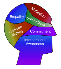 Why Emotional Intelligence Matters