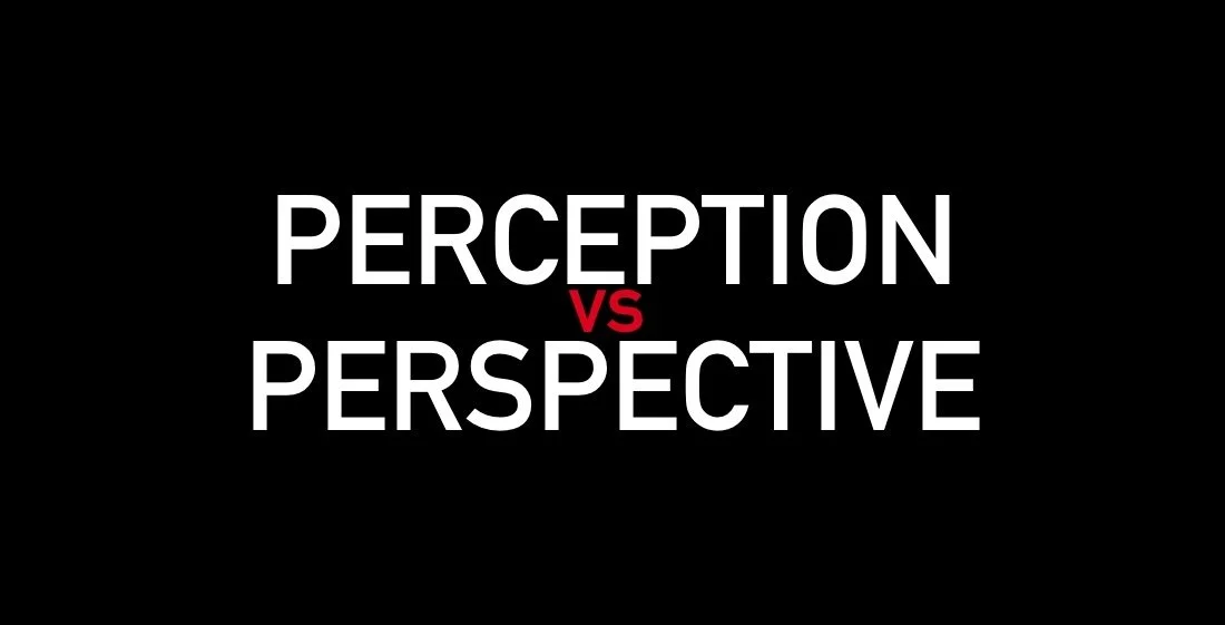 Is Your Perception Offering You Perspective?