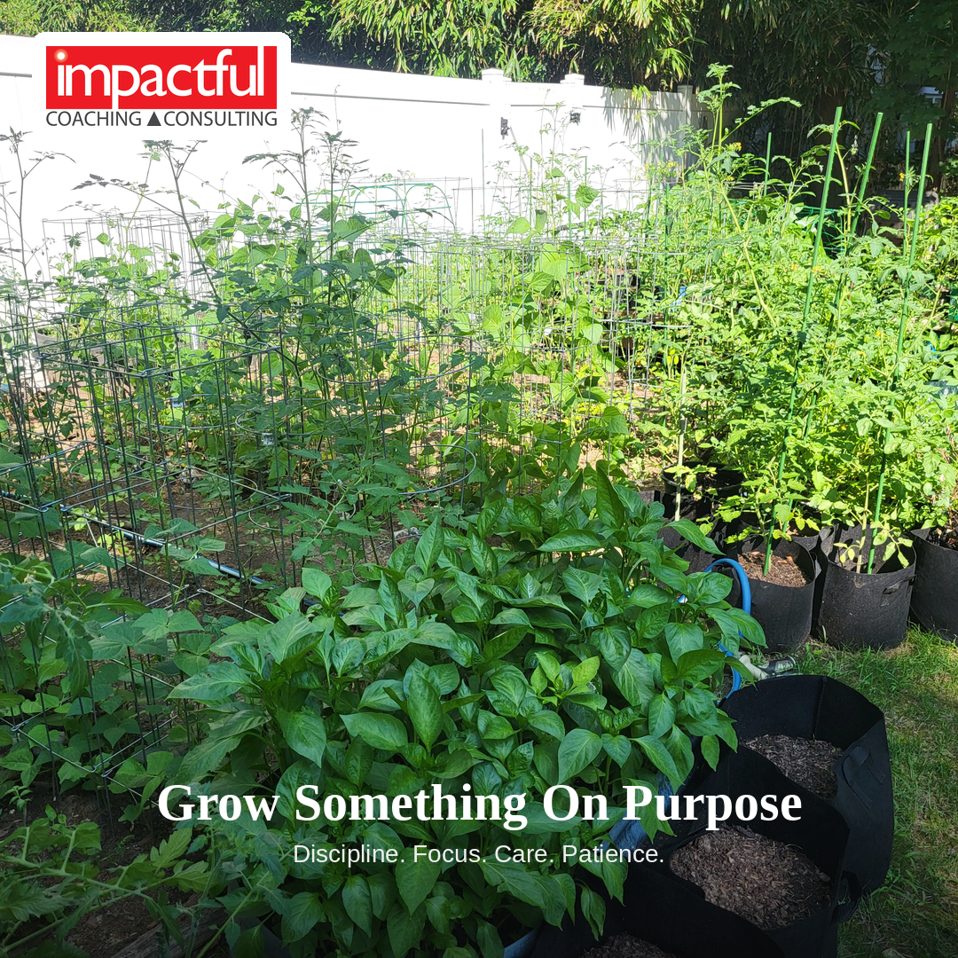 What My Garden Taught Me About Discipline, Focus, and Getting Back to What Matters