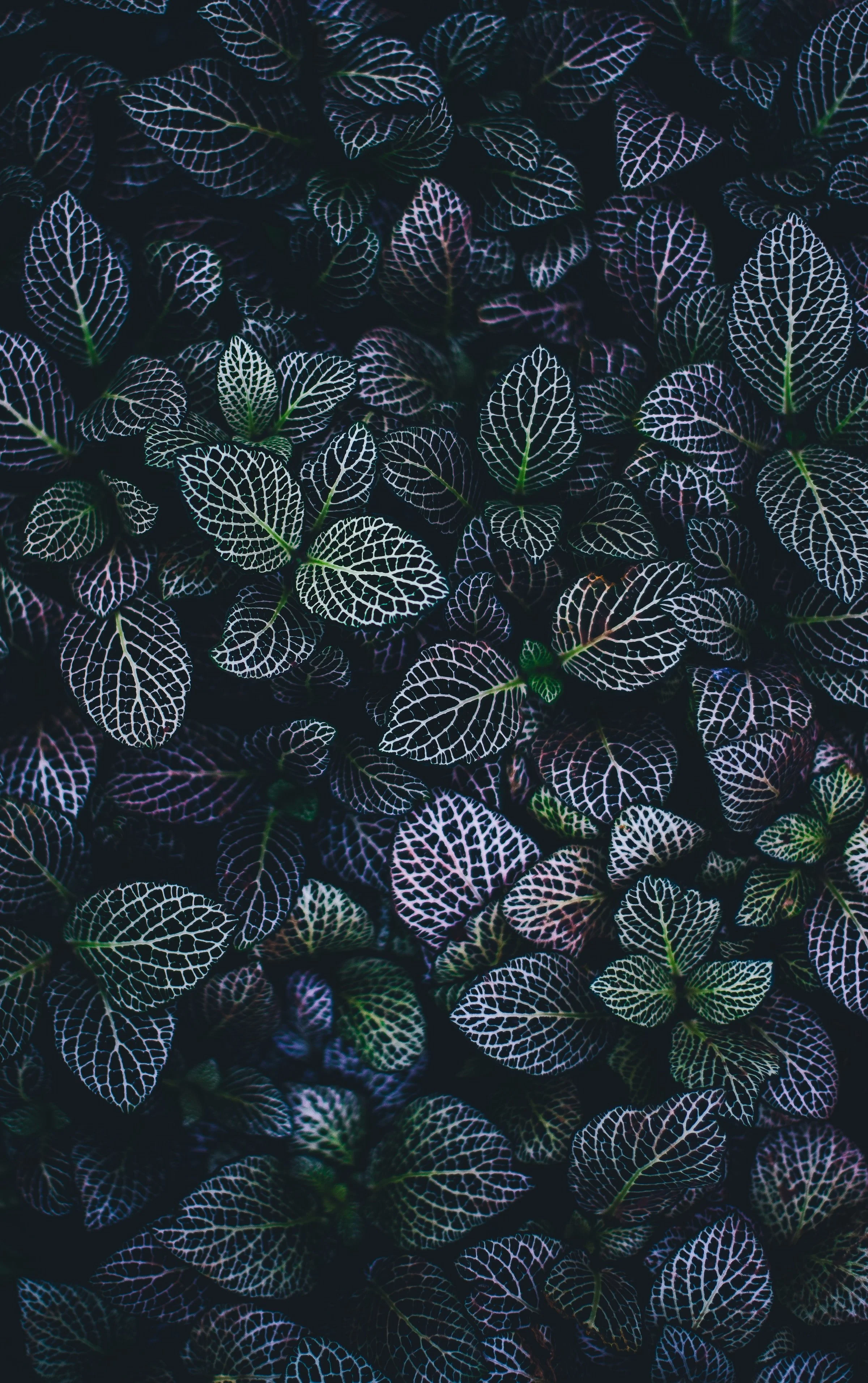 annie-spratt-lRcoPGrwkv0-unsplash.jpg