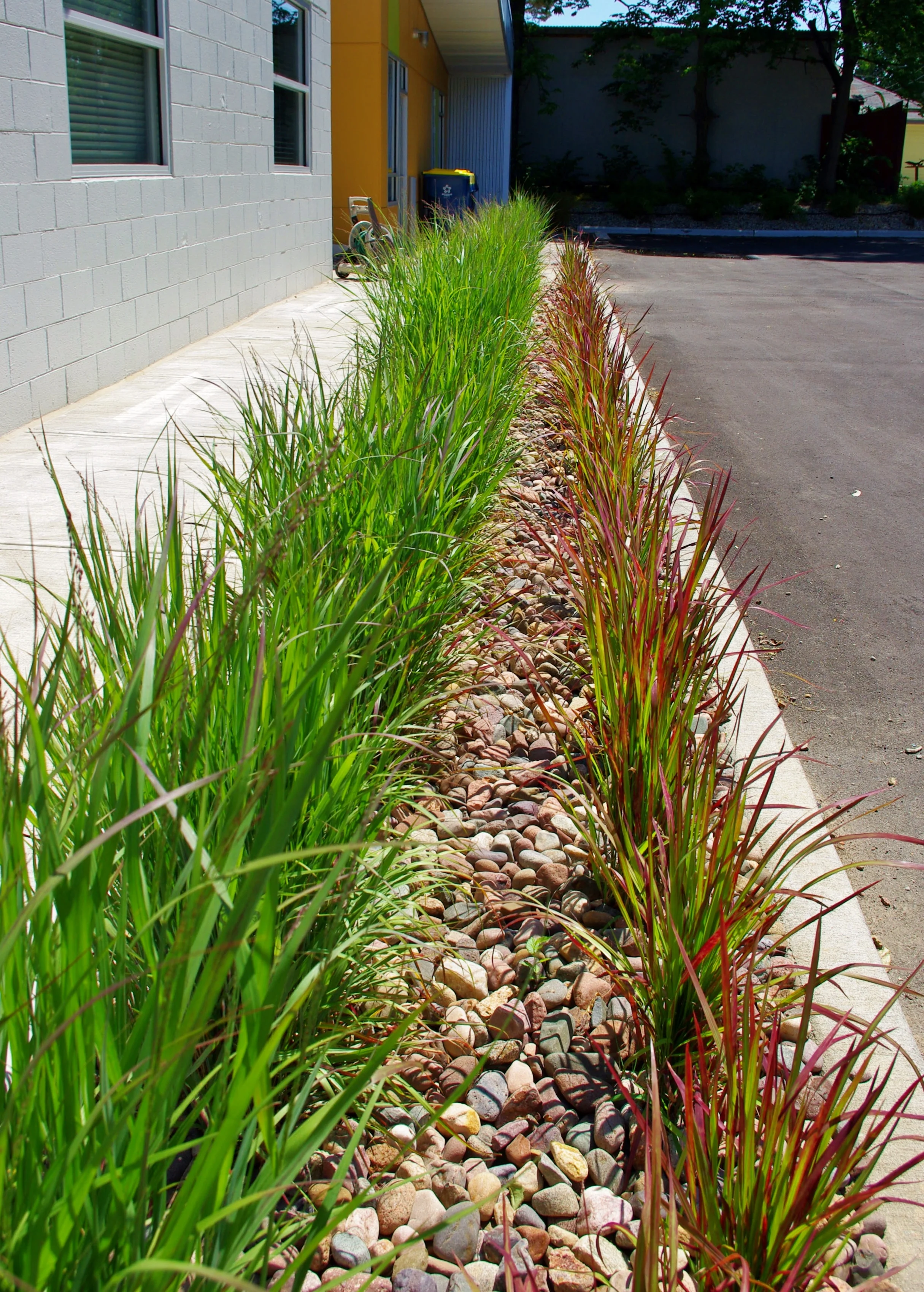 Scofield Editorial 04.JPG