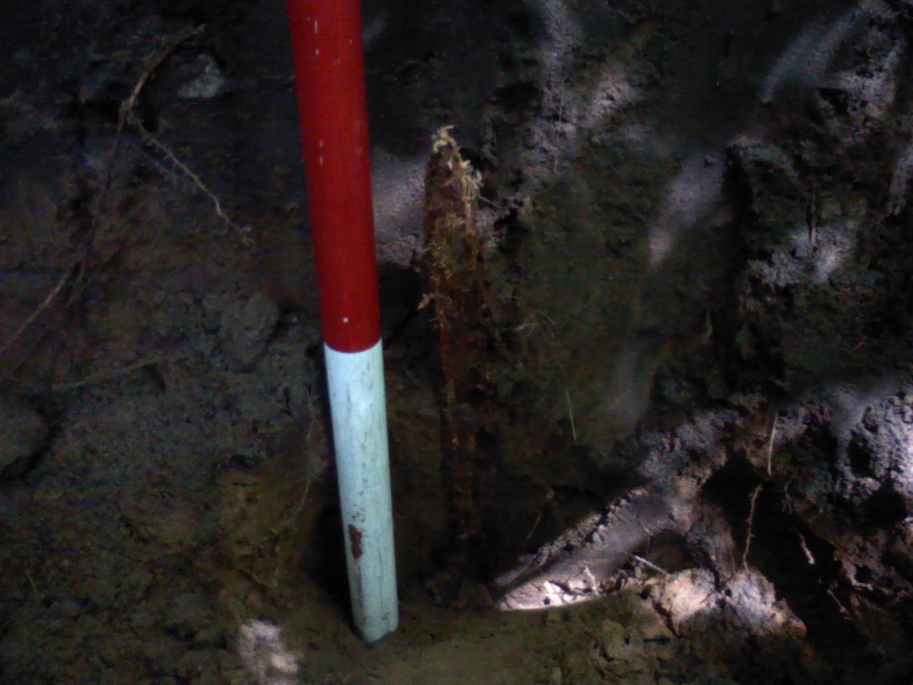 Jas H. Millard wood stake set in 1914 for the E 1/4 Corner, Section 25, Maple Grove Township, Manistee County, recovered in August 2011