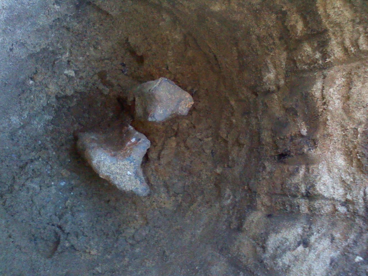 Railroad track iron for 1/16th corner, Section 5, Ellsworth Township, Lake County, found in September 2013