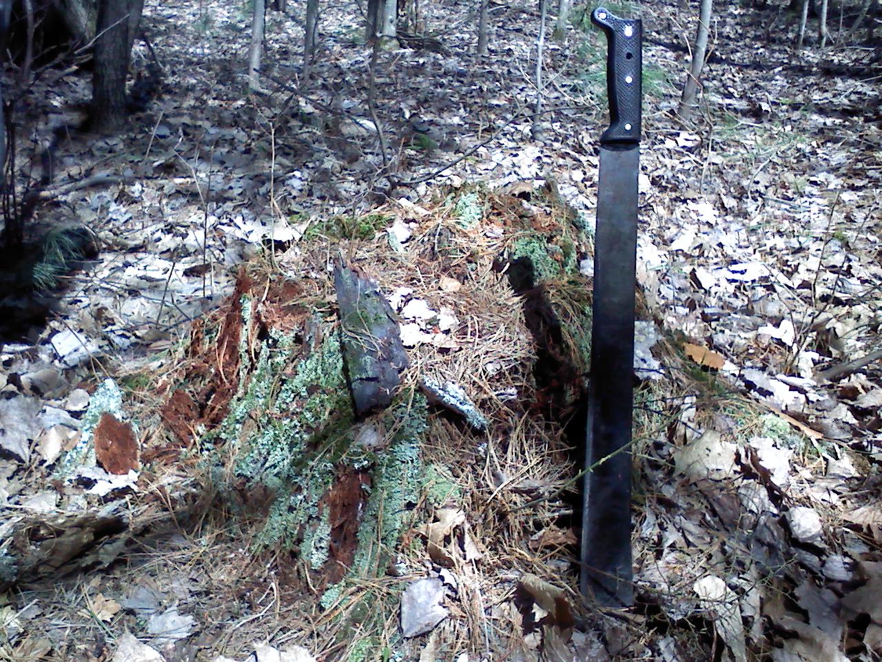 Remains of what is believed to be a GLO White Pine line tree, now stump with evidence of charring, possibly from the Great Michigan Fire of 1871, Section 6, Sheridan Township, Mason County, recovered October 2013
