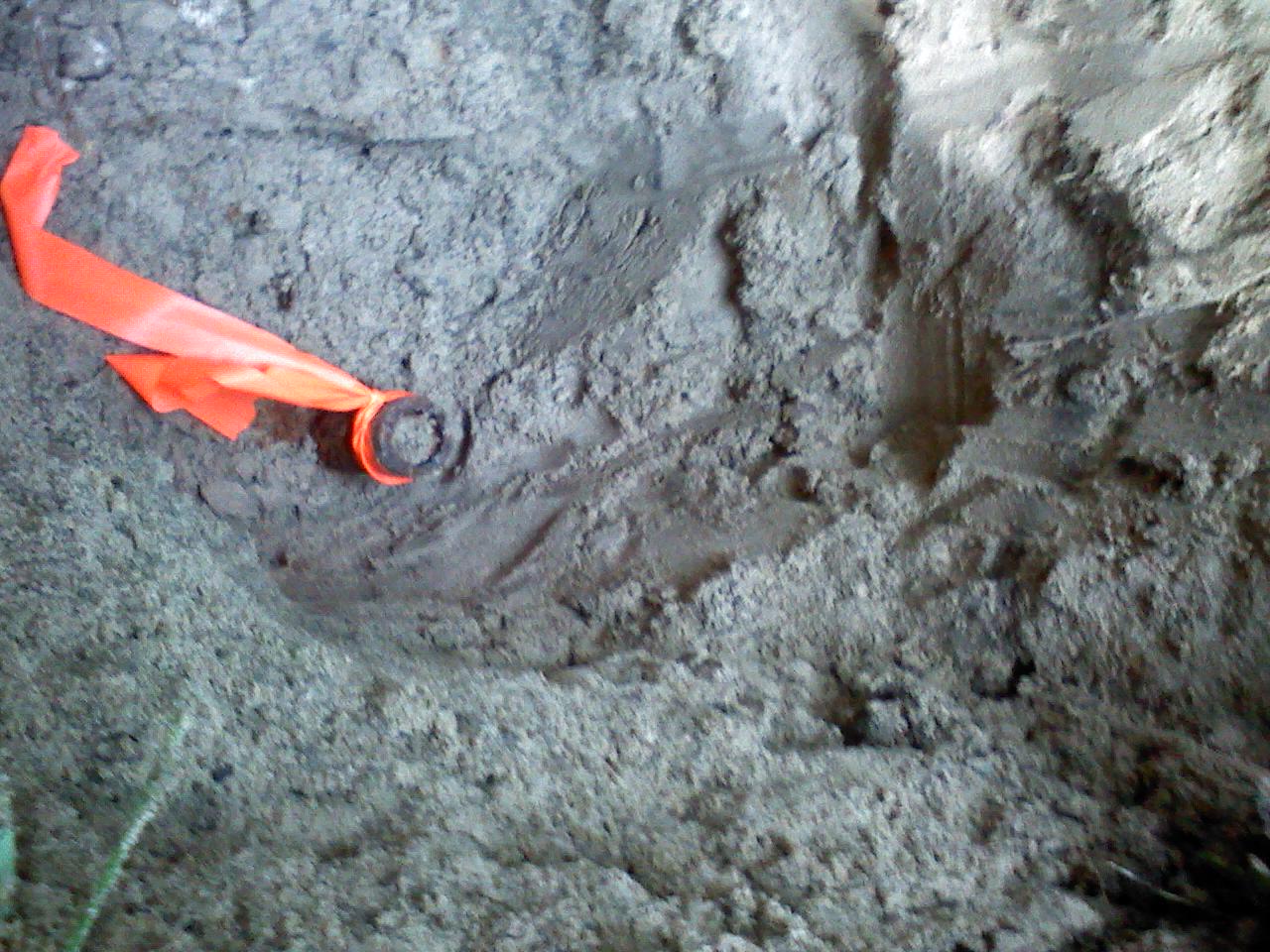 Fargo Engineering Pipe set from GLO witness trees in 1909 for the NE Corner of Section 27, Marilla Township, Manistee County, recovered in August 2011
