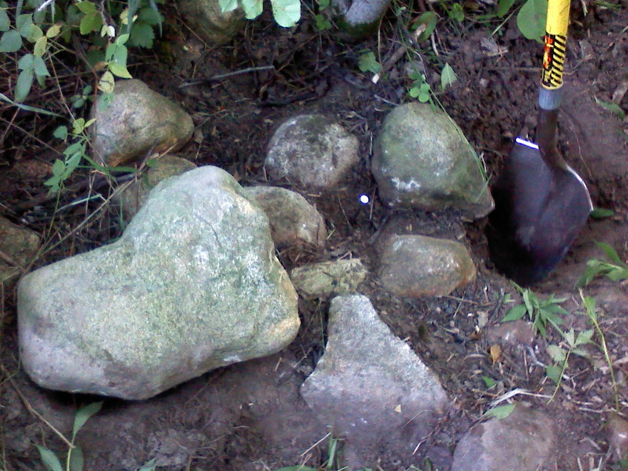 Here a nail is set where it is believed Edson placed the North Center 1/16th Corner on a ring of stones. The large stone on the left is likely the original placed corner, now toppled over. This location fits within 3' of the record to the found stone at the South Center 1/16th Corner. Down fence remnants found extending N+S+E. Excavation determined the bottom of the ring of stones sets below the topsoil layer. Found in July 2014
