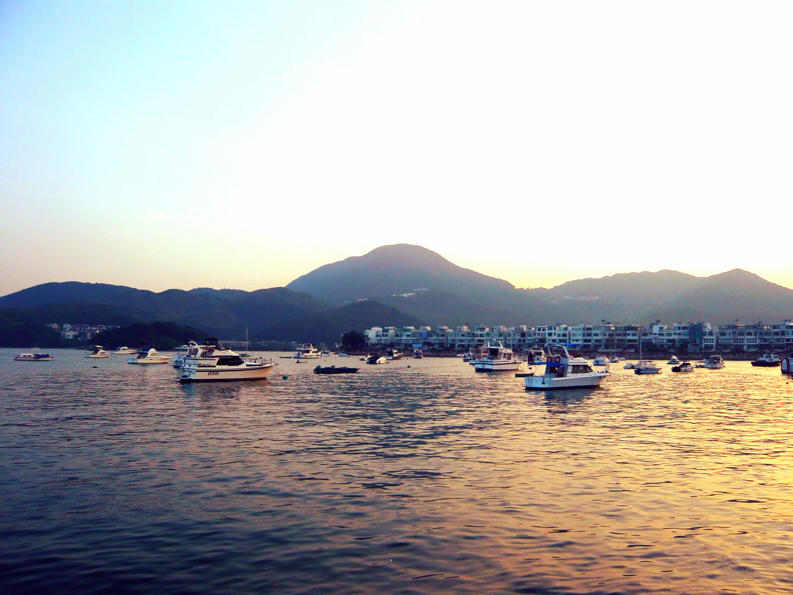 Gillian Chu Blog Necescity 1.4.JPG